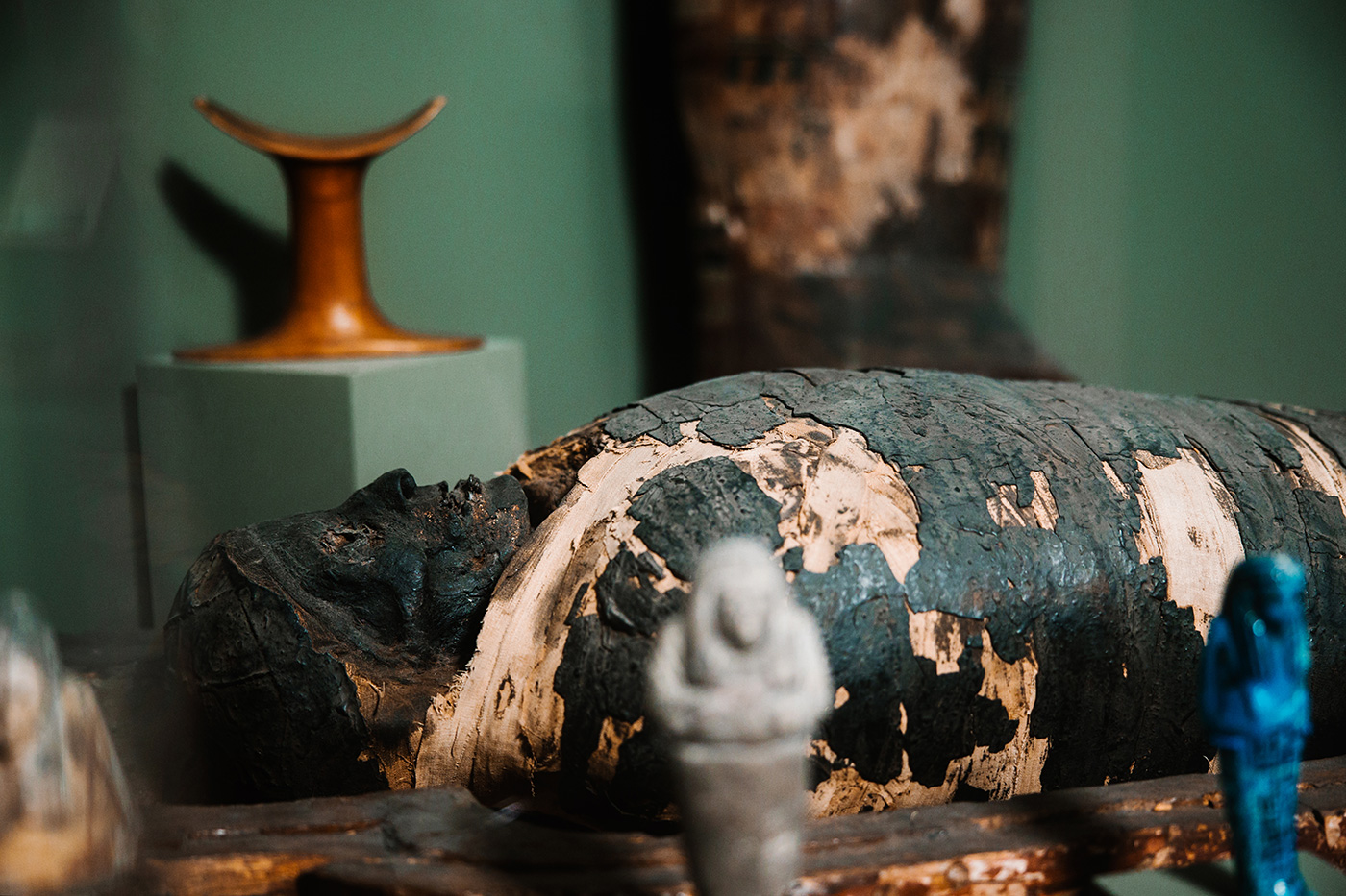 Kalamazoo Valley Museum - Mystery of the Mummy